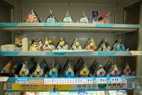 https://mail.thismightnotbe.me/files/gimgs/th-249_260324-173551_a6400.jpg